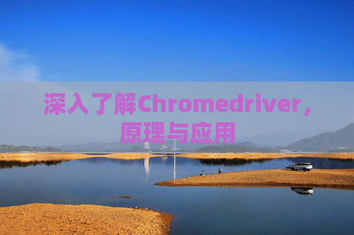 深入了解Chromedriver,原理与应用 深入了解Chromedriver,原理与应用